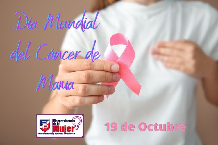 Vicepresidencia de la Mujer PR tweet media