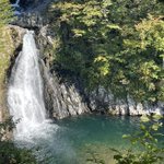 ツイートに含まれる画像