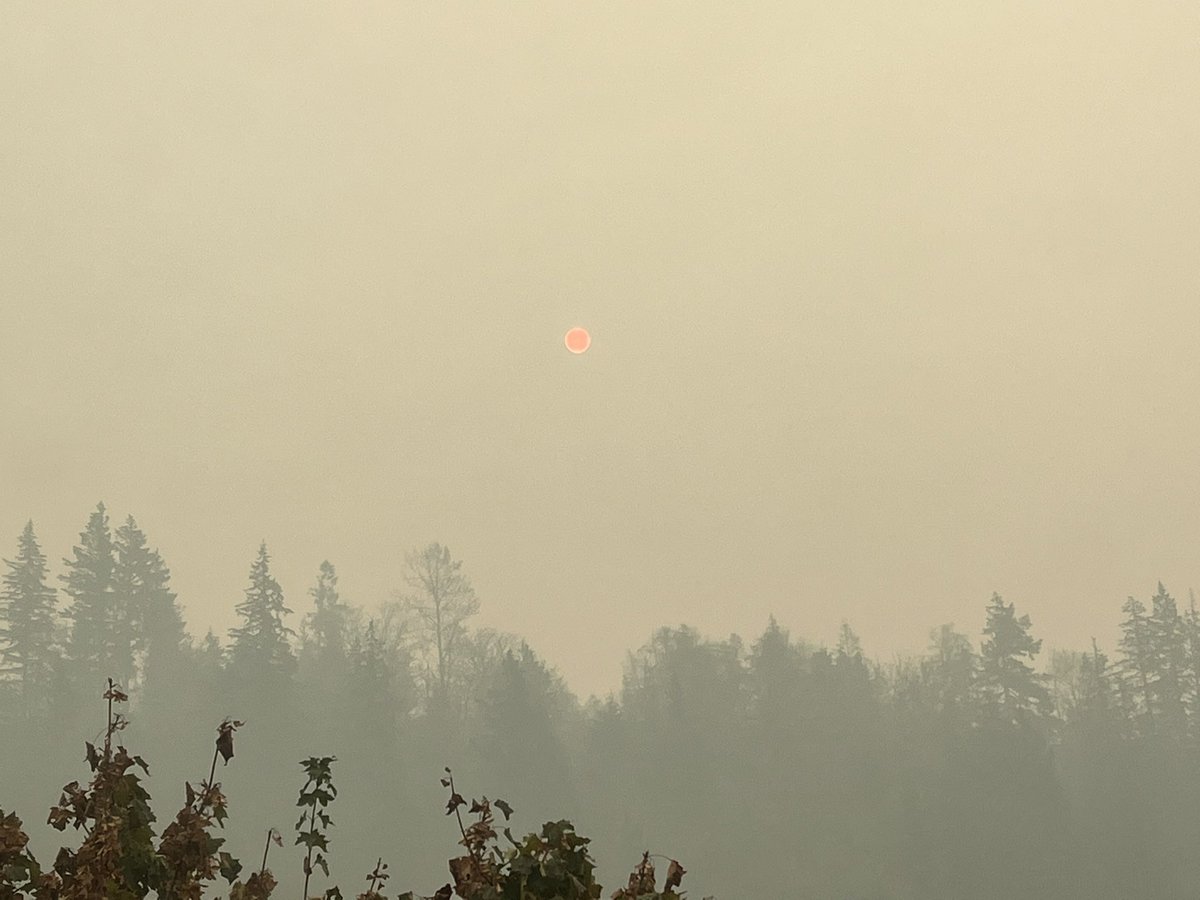 lorasland's tweet photo. Apocalyptic sun this morning in Chilliwack today. So eager for the rain this weekend! Was lightly raining ash 😷#chilliwack #forrestfires #smoke #bringontherain @KGordonGlobalBC @MMadryga @JWagstaffe https://t.co/0Yov0eNnV7