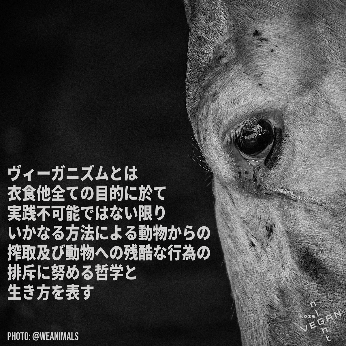KozaVeganNight's tweet photo. 日本を覆うソフトな情報統制のため未だ知る人の少ないヴィーガニズムの定義。#ヴィーガン https://t.co/hwRKUEbBCT