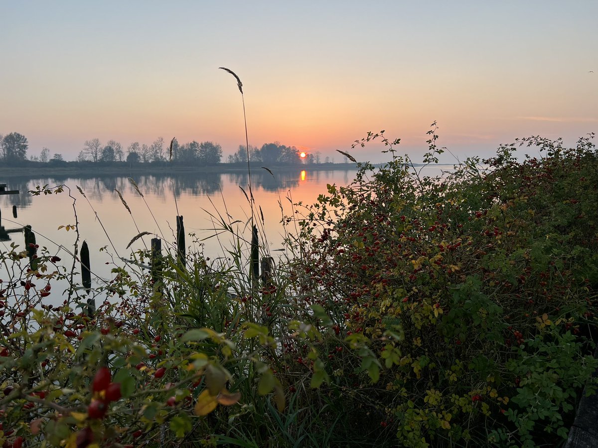 stevestonLife's tweet photo. The end of a hazy day in #Steveston. https://t.co/mMfPxEojfs