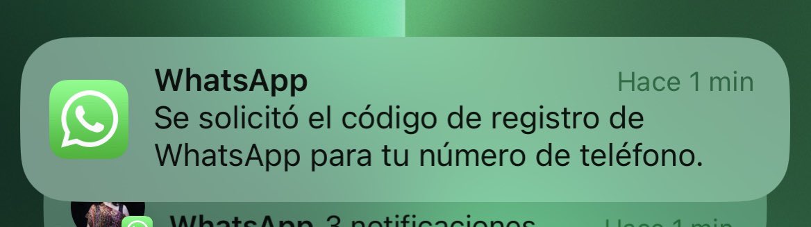 alixpin's tweet photo. Me han intentado robar mi número de teléfono. Pongan verificación de dos pasos para mas seguridad en su cuenta de WhatsApp. 
#PincheGente https://t.co/K4fA3V1eNj
