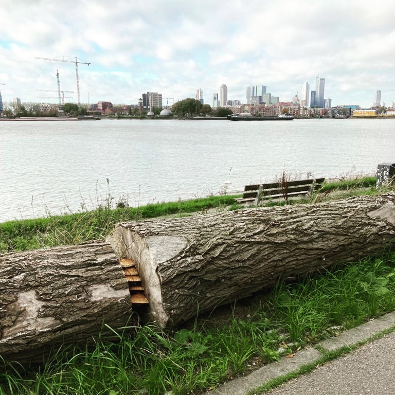 Paddenstoelen en de #skyline prima combinatie <3