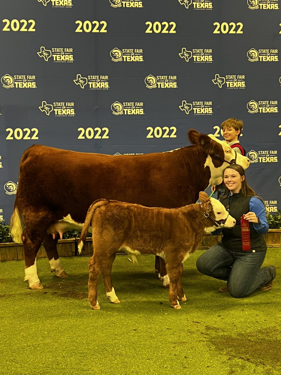 DadsGirlBoyMom's tweet photo. This kid here- so proud of him! After an emotional goat weekend, he bounced back and had a great time with his heifers (and Patriot). We’ve got some jackpots to go, then Fort Worth Stock Show in January! #TexasFFA #TheFututeIsAG @AA_Eagles @FfaSachse https://t.co/KeUZl5fagp