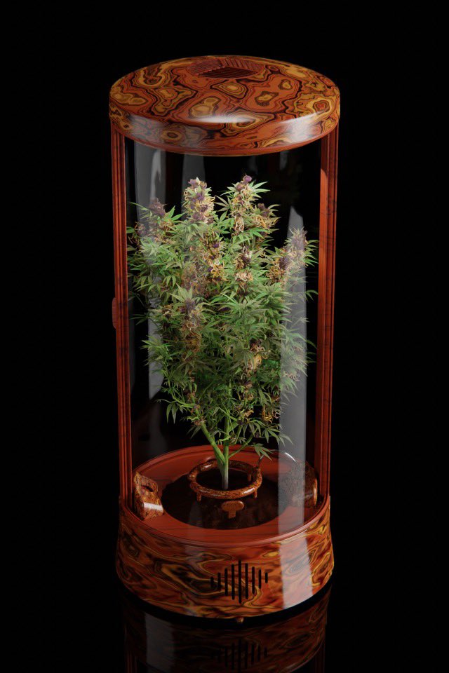 CryptoGrow NFT tweet media