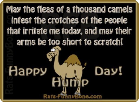 Good Morning Tweeters!☕️☀️ And a Happy Hump Day to you all! 🐫