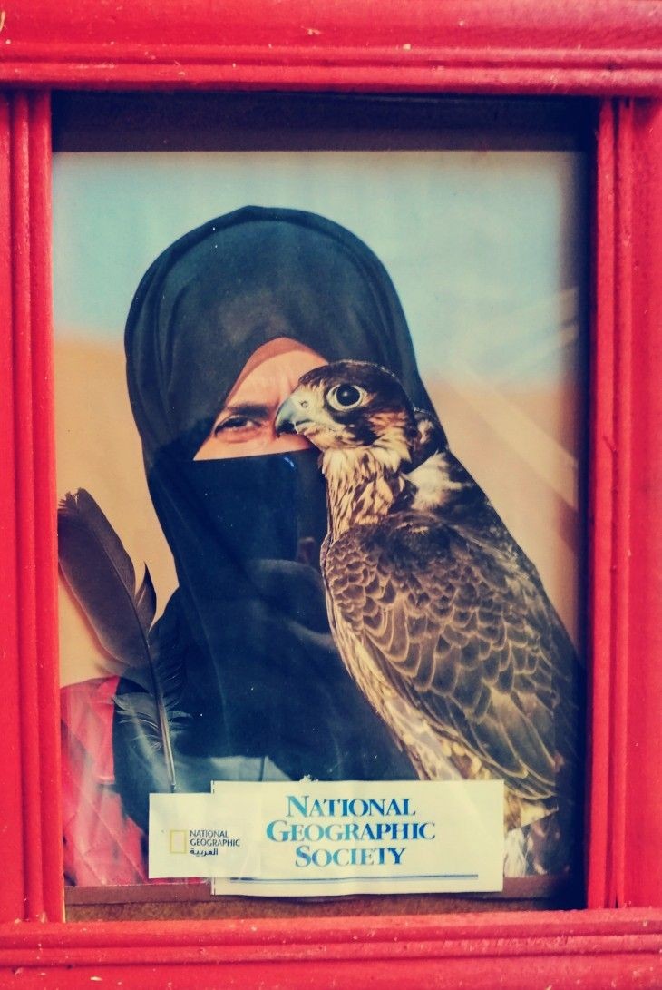 Smart Dubai (@smartdubai) on Twitter photo 