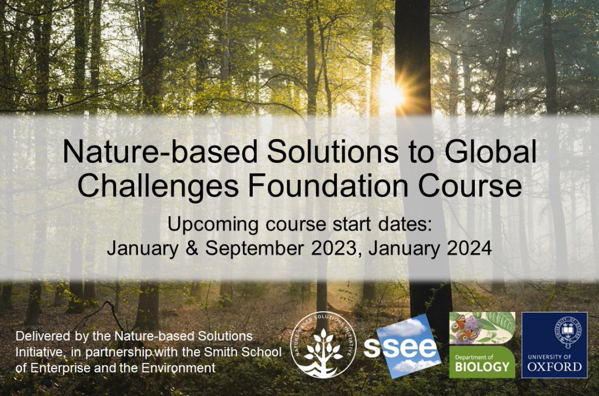 🔔Scholarships announced for the #NatureBasedSolutions to Global Challenges Foundation Course. 2 fully-funded & further partial scholarships are available for those working in the public sector in a DAC-listed country. Learn more and apply⤵️ naturebasedsolutionsinitiative.org/news/nbs-to-gl…