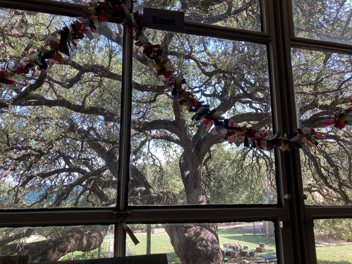 Alicia Hill tweet media