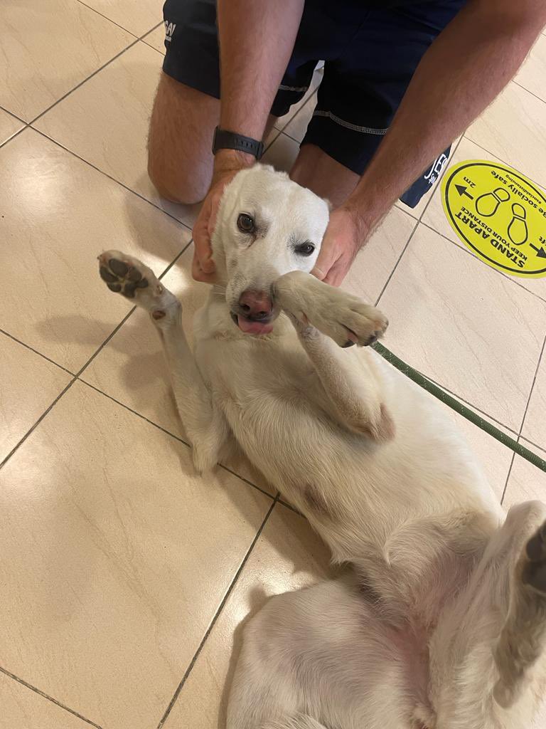 JESS Business & Economics tweet media