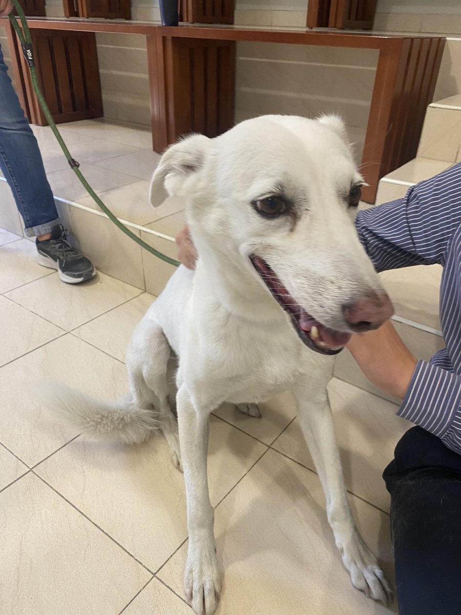 JESS Business & Economics tweet media