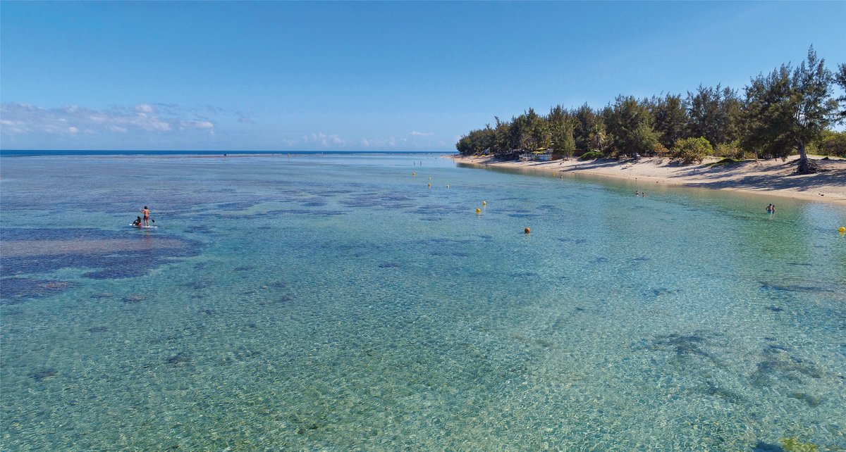ReunionTourisme's tweet photo. 🌡L'été se rapproche à La Réunion. 
⛱A l'Ermitage, la température de l'air est de 26°. Celle de l'eau est de 24°.🌊

📸Serge Gélabert 
#LaReunion #ileintense #gotoreunion #reuniontourisme https://t.co/gijmuDtZzb