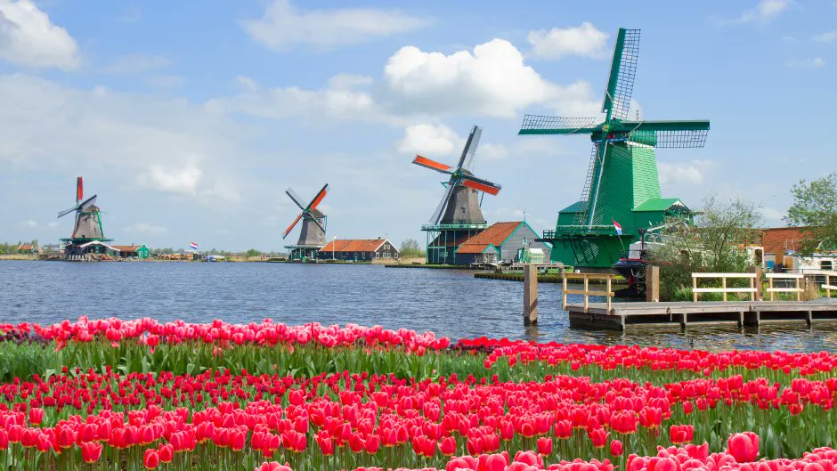 FlowerToursNL's tweet photo. One of the most iconic landmarks of The #Netherlands is probably the #windmill. Did you know that there were once over 10,000 fully operational windmills in The Netherlands? Learn more about typical #Dutch things on our Tours 1, 5 or 7. https://t.co/9Nz9tFON4z