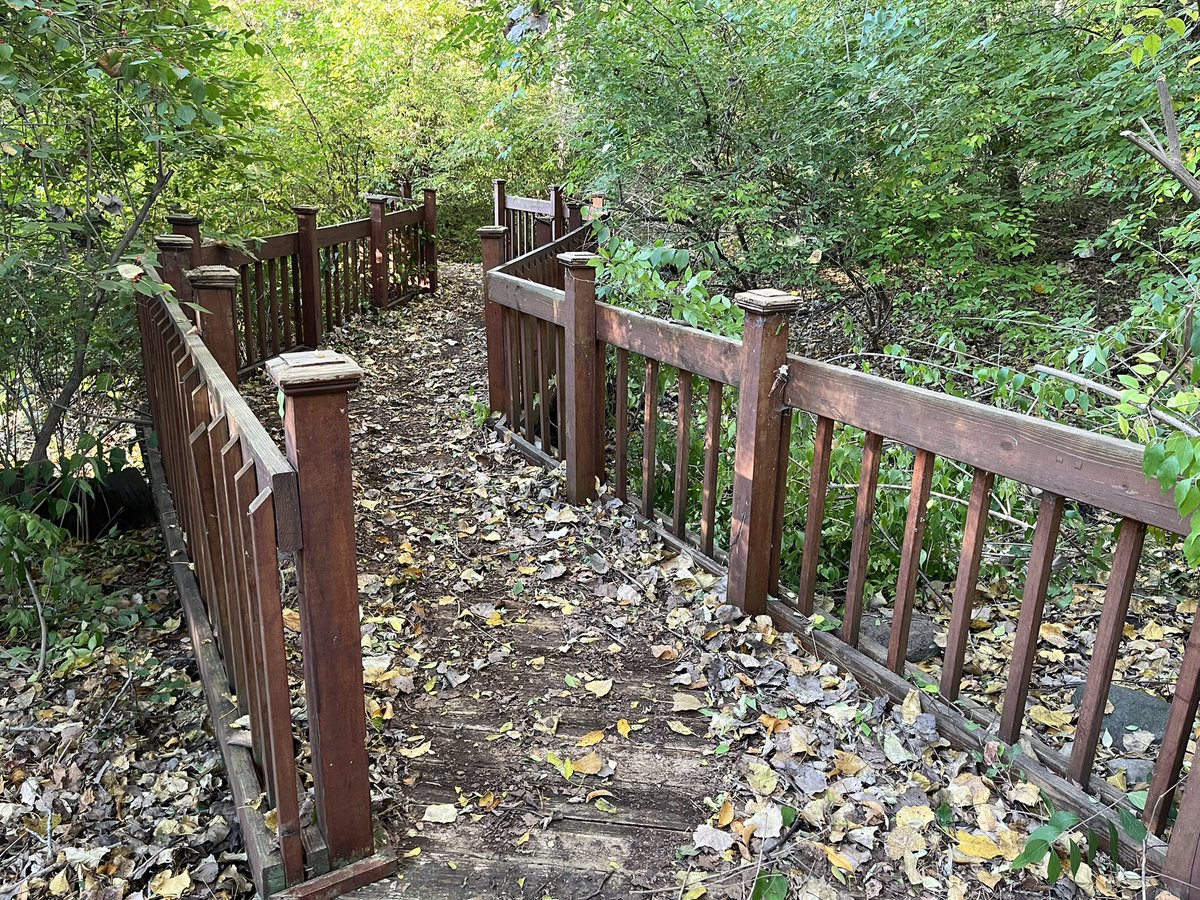 Did you know that <a href="/BaldwinRcs/">Baldwin Elementary - RCS</a> has its own nature center trail? Points of interest include a vernal pond providing critical habitat for animal species; the Michigan-native sassafras tree with its distinctly shaped leaves; and the Staghorn Sumac with velvety twigs. #RCSpride