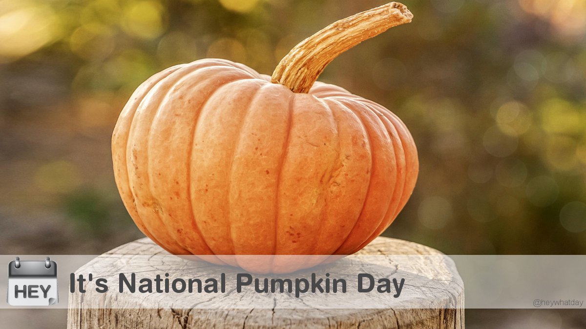 It's National Pumpkin Day! 
#NationalPumpkinDay #PumpkinDay #Pumpkin
