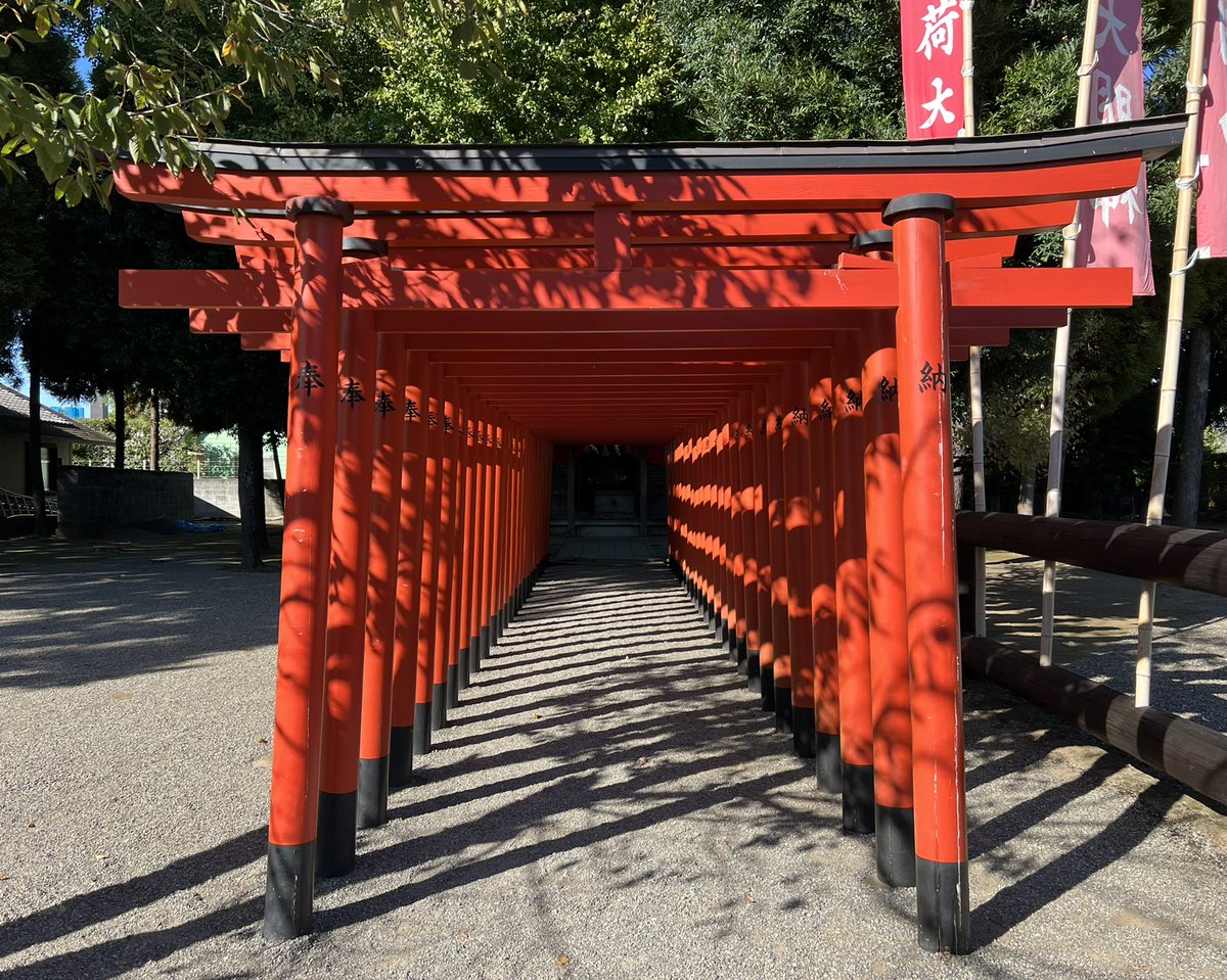 Afternoon at Suizenji Park: Mount Fuji and Fushimi Inari Shrine