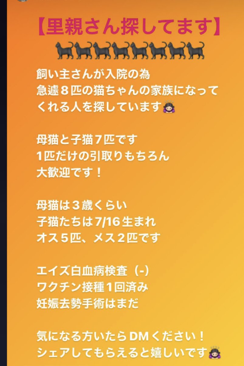 yuuuuuuuri05's tweet photo. https://t.co/z3wbpMUX6N