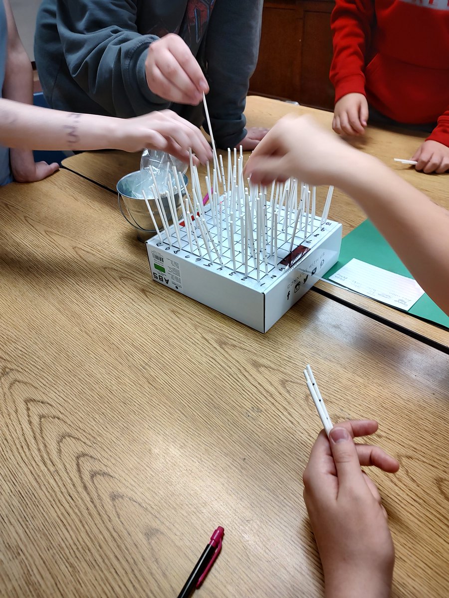 Terri Stauffer tweet media