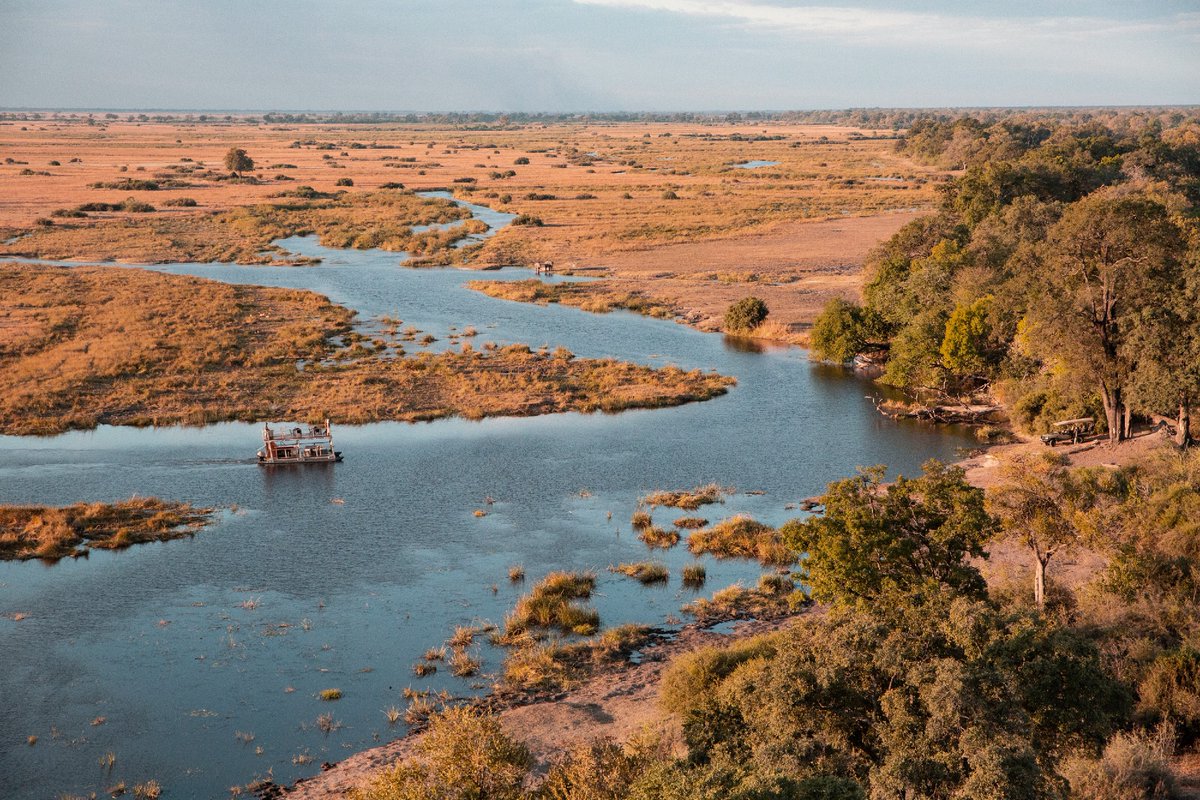 WeAreWilderness's tweet photo. Listen, search, see. Catch a flutter of wings in the grass, a plaintive call from the reeds, a calculated dash into the water. A barge trip, birdwatching and sundownders go hand in hand. Experience a world of adventure at #Wilderness #KingsPool: https://t.co/LvyoO6noIx

#Botswana https://t.co/oMHuccinXq