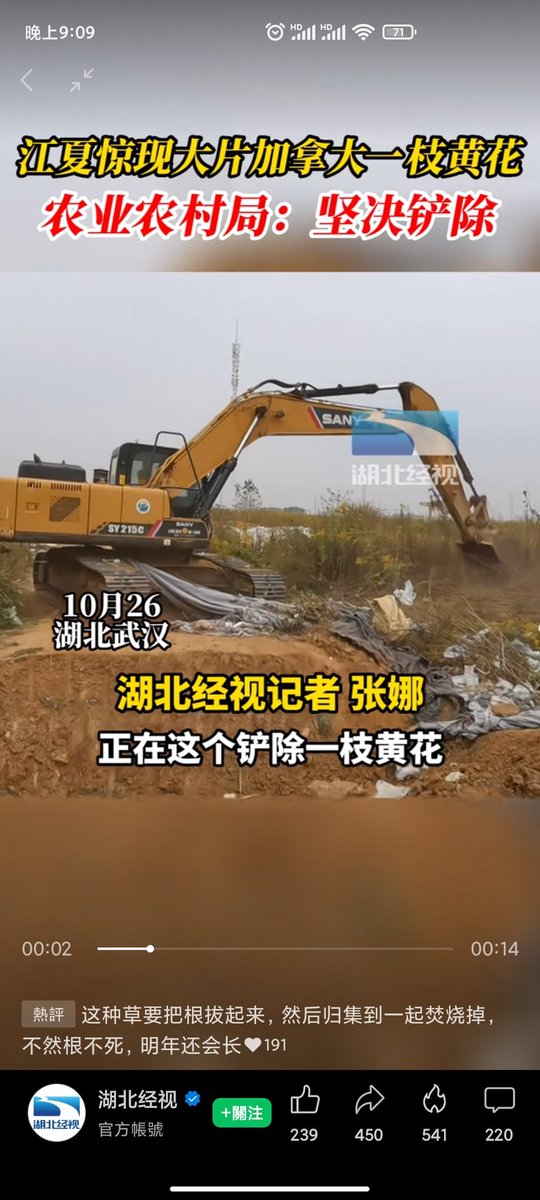 LanboteG's tweet photo. 中国傻事之铲除加拿大一支黄花。 https://t.co/iu9ikEPqDV