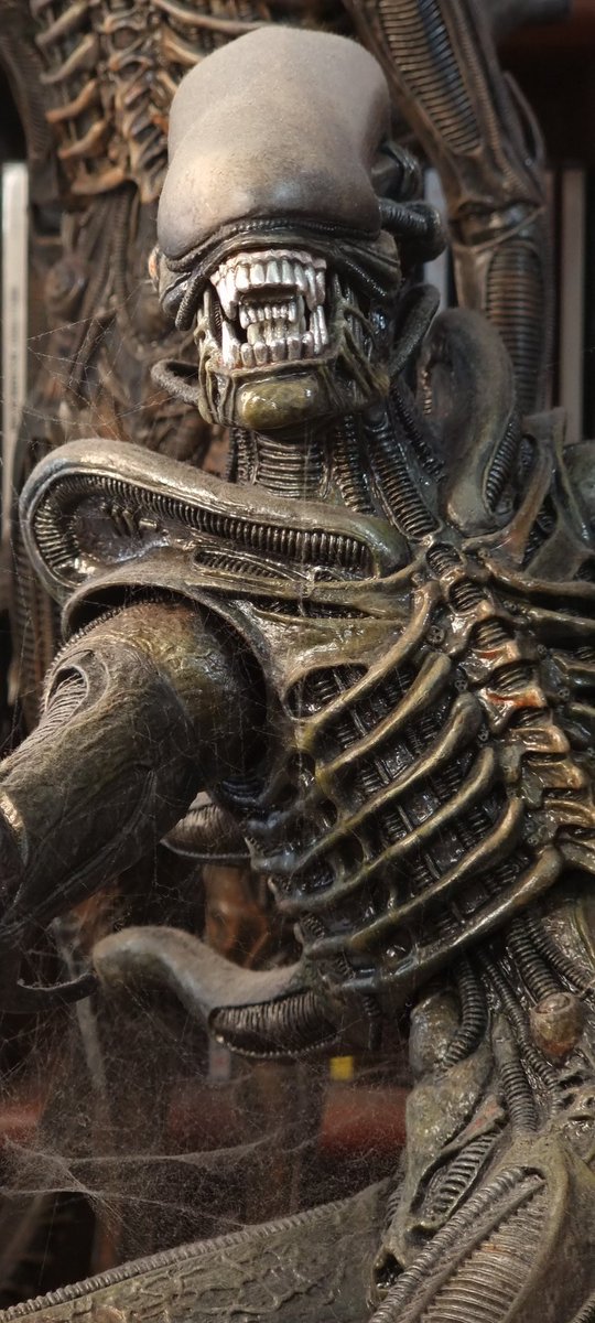 Adisell's tweet photo. My Neca Alien has been on the shelf so long it's covered in webs #NECA https://t.co/B5m9Yy2V4B