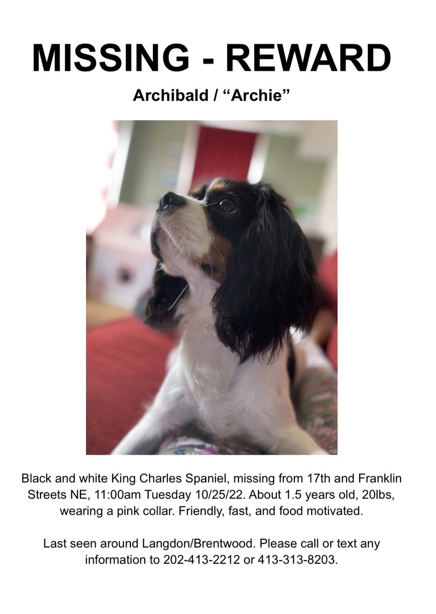 🇺🇸 JewWhoHasItAll tweet media