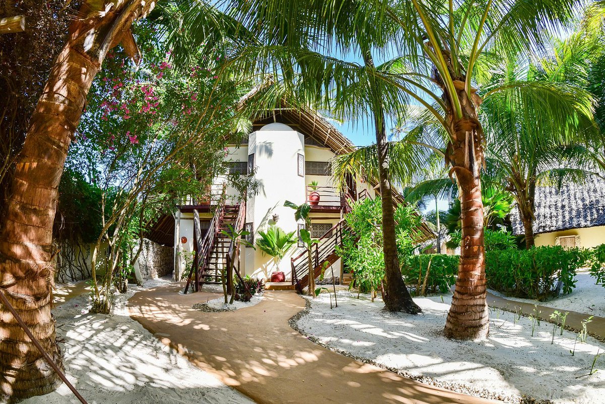 hadestays's tweet photo. Zoi Boutique Hotel Zanzibar, Avg. price a night USD$116
- Dizeemba is coming!π
#HadeHotels #Travel #Vacation #Africa #NewYork https://t.co/4kiqt0bfnm