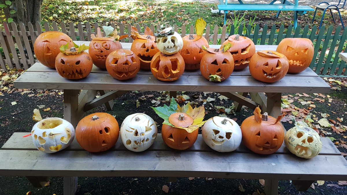 ScoilChaitBaggo's tweet image. Pumpkins with Parents 

Junior Infants, Senior Infants and 1st Class were joined by their families today to carve Hallowe&apos;en pumpkins in the garden. Now the garden looks spooktacular!

scoilchaitrionabaggotstreet.ie/pumpkins-with-…