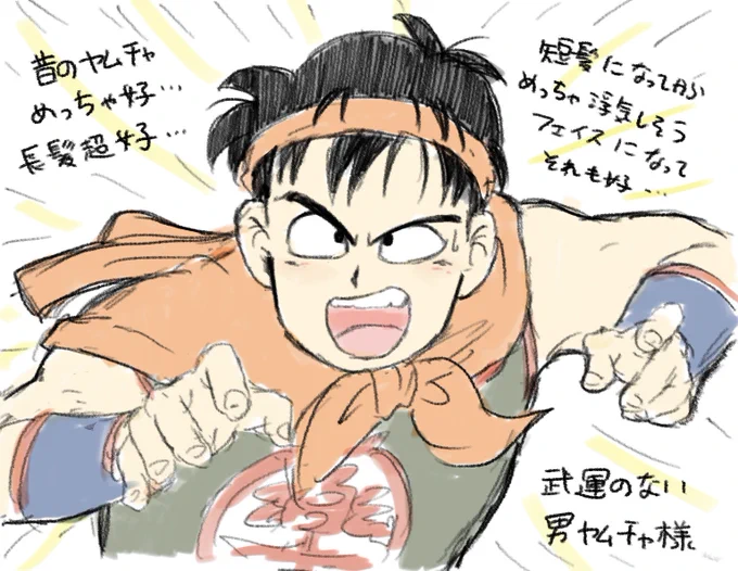この頃の絵がとても好き…
お兄ちゃんしてるヤムチャすき 