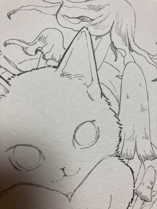 猫ちゃむ 