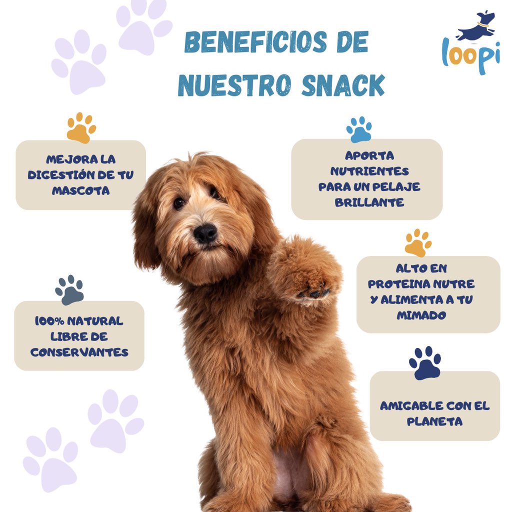 proloop_ec's tweet photo. Estamos felices de poner en el mercado ecuatoriano, el primer snack para perros formulado con proteína de insectos.
#Loopi es nuestro primer producto. Es un saludable snack fuente de proteína, fibra, vitaminas y energía para tu mascota 🐾🐕 https://t.co/hmfyAi4HVa