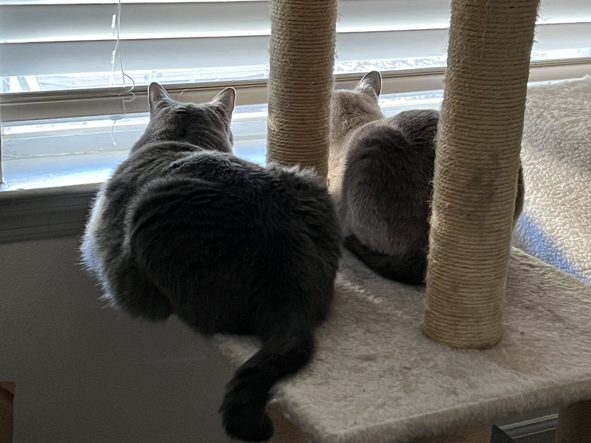 tolerateit13's tweet photo. The security team in this new place is top tier. #nosy #ipolishuprealnice https://t.co/GNatHj9Hau