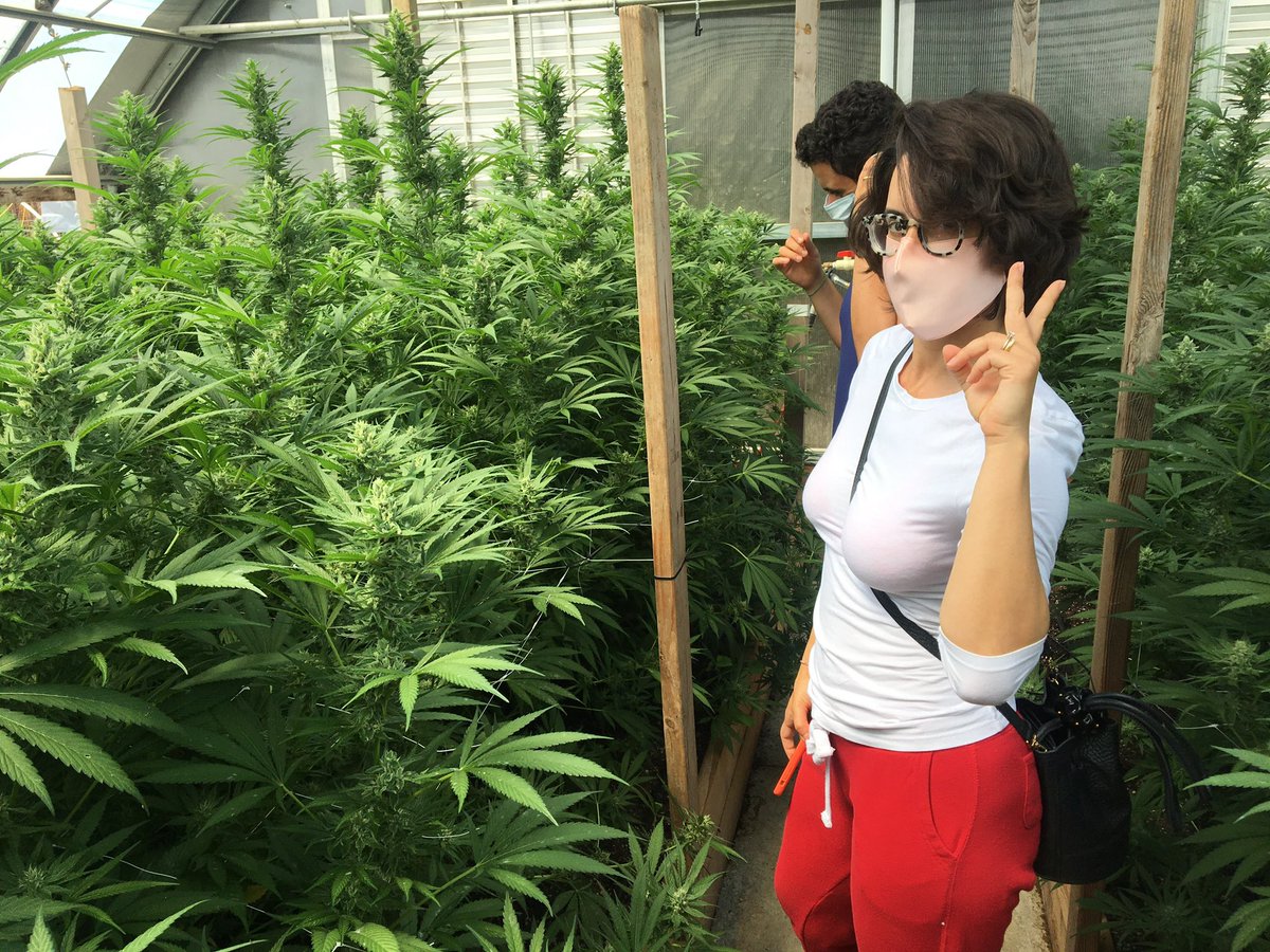 mendoexperience's tweet photo. @elonmusk will we be able to advertise our cannabis farm tour company when you take over Twitter?
We don’t sell weed.  We give farm tours.
#FreeSpeech right? https://t.co/OBOFF10MBw