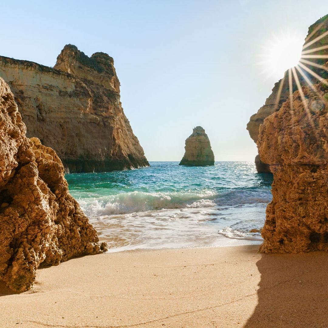 involvedholiday's tweet photo. Escorted Holidays
If you have friend or family member that still loves to travel but isn't big on walking, you can still enjoy the same wonderful destinations &amp; share your experiences together! 

View tours here > https://t.co/sDPfQwSHO4

#Involvedholidays https://t.co/Q3WSEncdy2