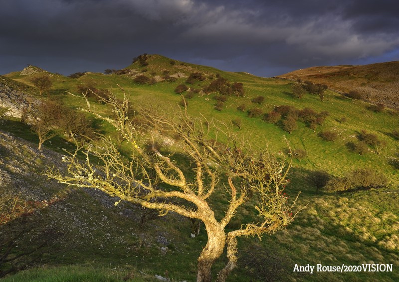 We welcome the new PM's decision to bring the #fracking ban back. There was no evidence it was safe, nor could it deliver on promises made around energy security and cost. We look forward to more action from UK Gov to #defendnature and hope to see other recent decisions reversed.