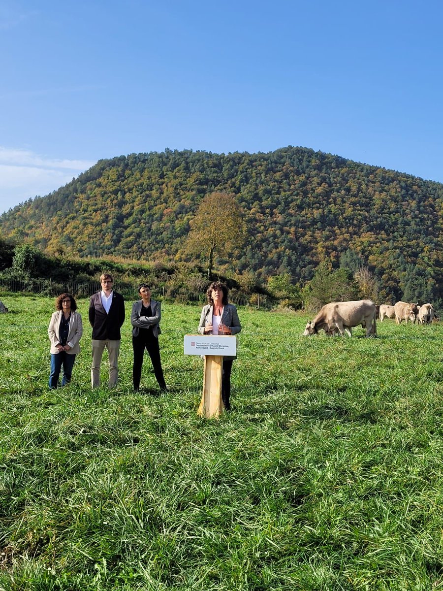 TeresaJorda's tweet photo. Avui hem presentat el Pla de la Ramaderia Extensiva de Catalunya 2021-2030, que neix per millorar la situació del sector al nostre país i contribuir a posar en valor els importants serveis ecosistèmics i socials que presta al territori. https://t.co/MckThjpKng