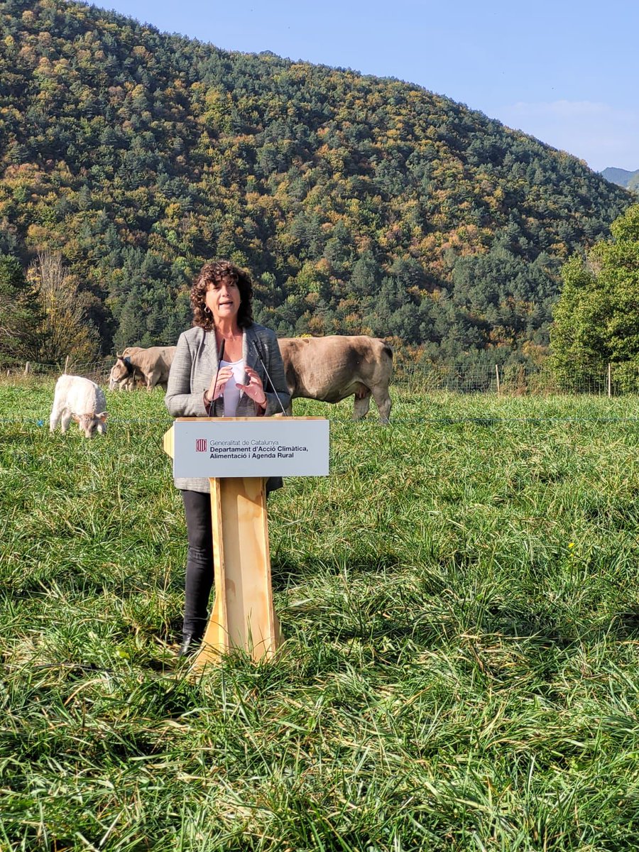 TeresaJorda's tweet photo. Avui hem presentat el Pla de la Ramaderia Extensiva de Catalunya 2021-2030, que neix per millorar la situació del sector al nostre país i contribuir a posar en valor els importants serveis ecosistèmics i socials que presta al territori. https://t.co/MckThjpKng