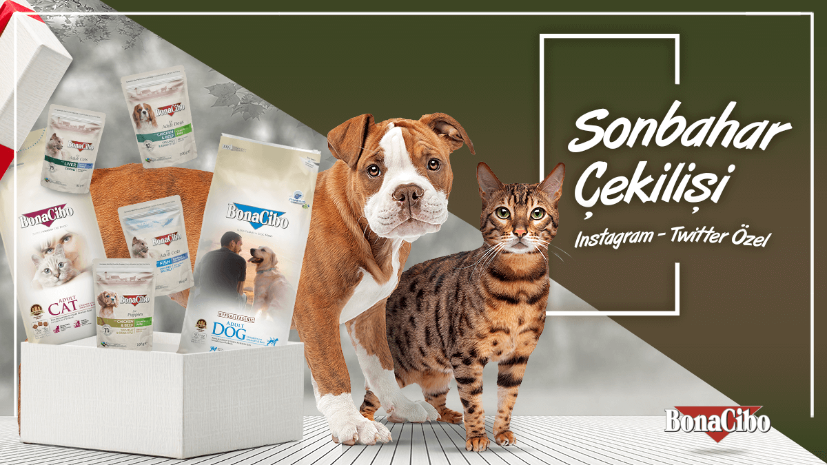 BonaCibo Sonbahar Çekilişi başladı 🍁

✅Hesabımızı ve <a href="/CagatayPetFood/">Çağatay Pet Food</a> hesabını takip et 
🔁Gönderimizi retweetle 
💬Bir arkadaşını etiketle

4 kg kedi maması ve 12'li poşet yaş kedi maması veya 8 kg köpek maması ve 12li poşet yaş köpek maması kazanacak 5 şanslı kişiden biri ol😉