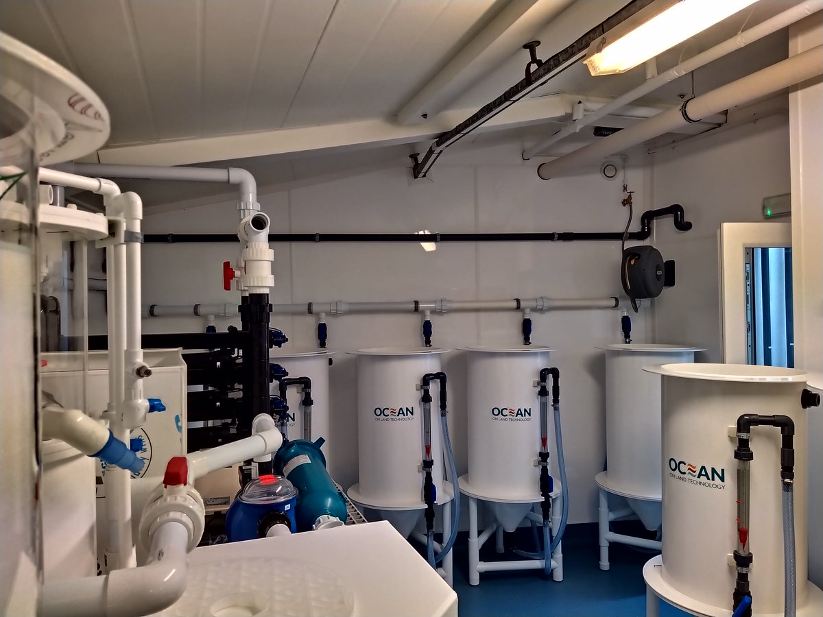 OceanonLandTech's tweet photo. We are delighted to celebrate the launch of our latest project: @LobsterWhitby. Custom built by the Ocean on Land Technology, the new set-up features our patented Aquahive® and unique Hatchery-in-a-Box system. Read more here: https://t.co/JBIl3Q5IBv https://t.co/fyRpmY9adn