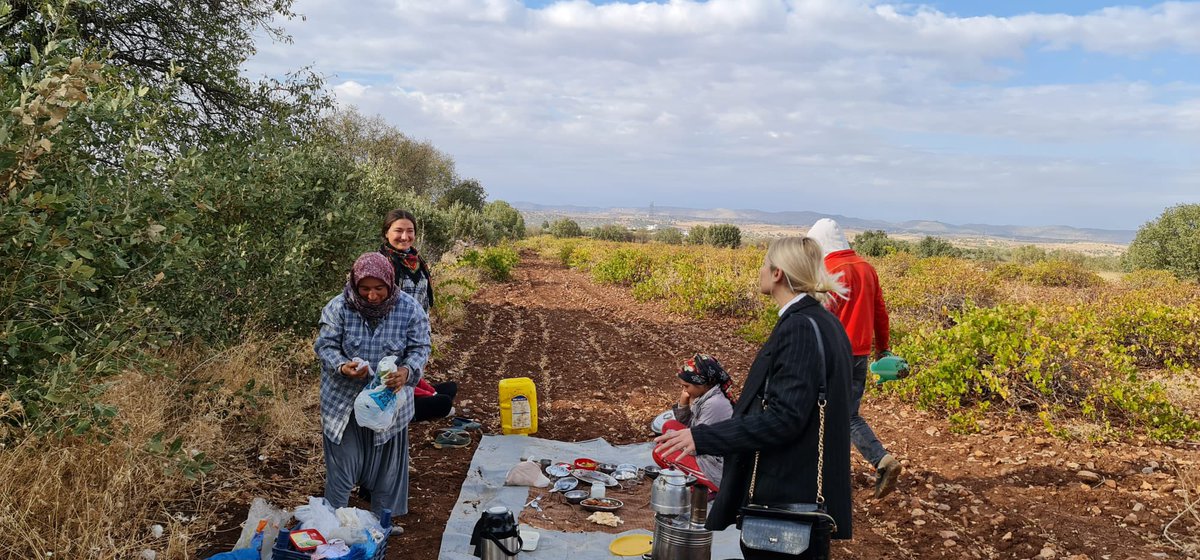 MardineDeva's tweet photo. Ömerli İlçe Başkanımız Sn. Mehmet Nur Cemiloğlu’nun öncülüğünde; İl Başkan Yardımcılarımız, kadın ve gençlik ekiplerimizin eşliği ile Ömerli ilçesinde tarla ziyaretleri gerçekleştirildi.
#devatarlada
@devapartisi @alibabacan @m_eminekmen @avmesutaydogan @omerlideva https://t.co/i6P2PkkeZO