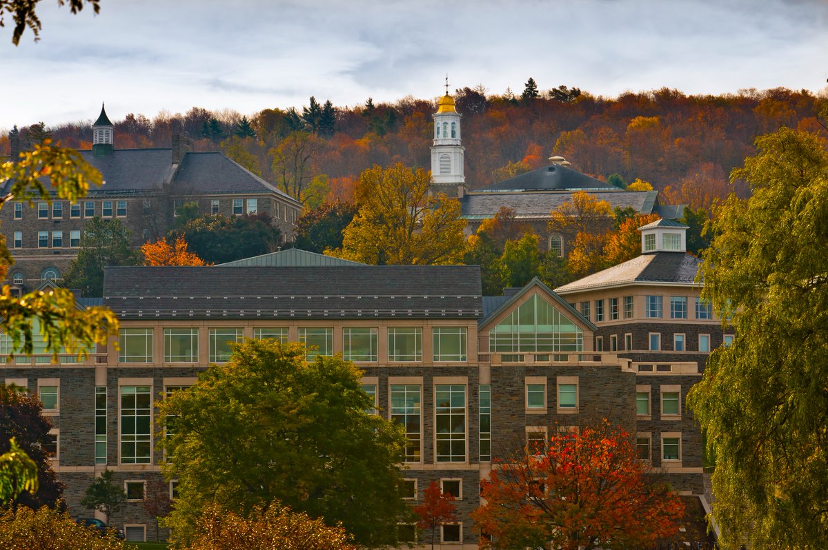 Fall in Hamilton 👌

#GoGate