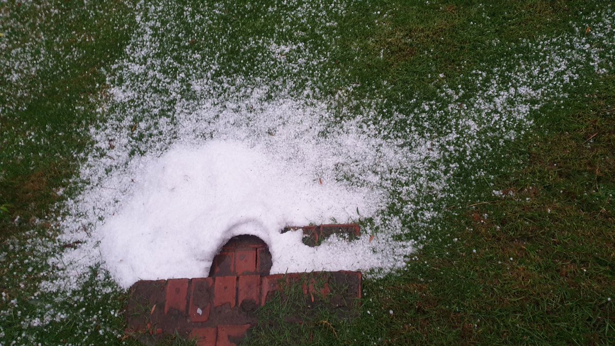 Monique van der KZN 🇿🇦 tweet media