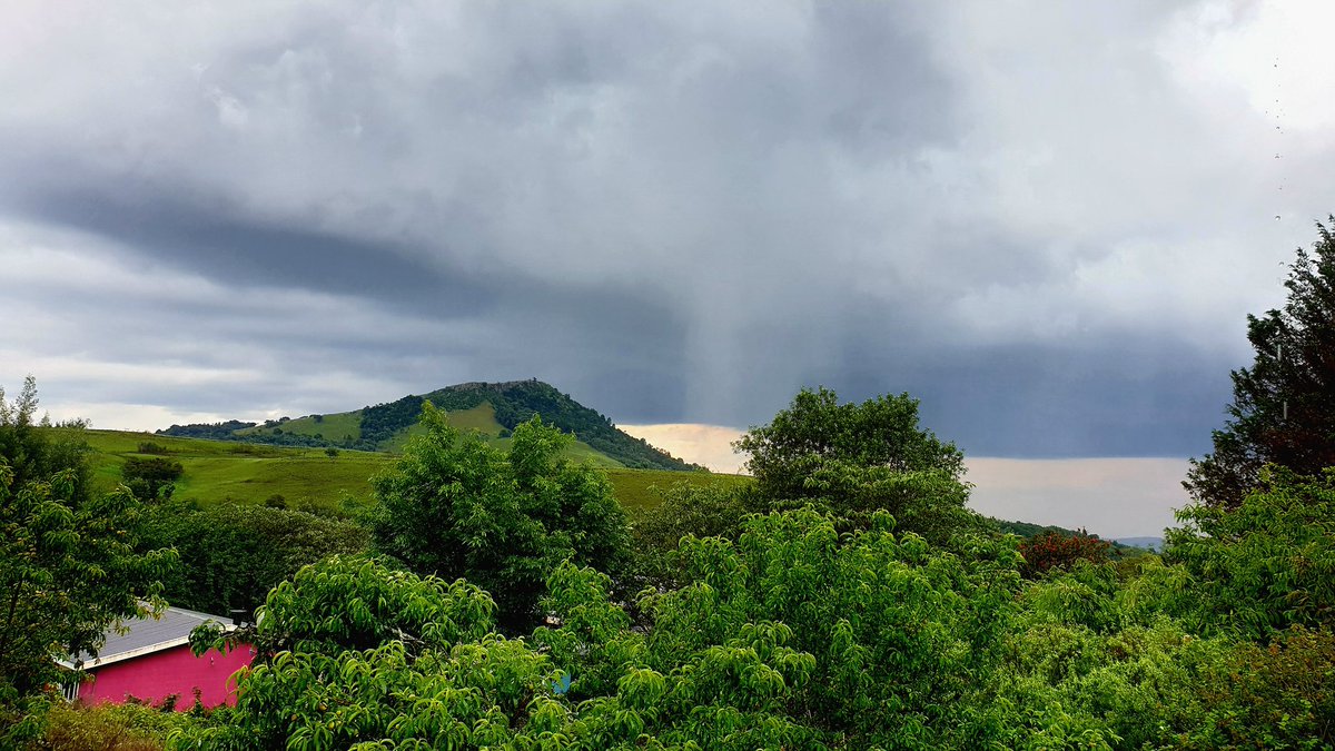 Monique van der KZN 🇿🇦 tweet media