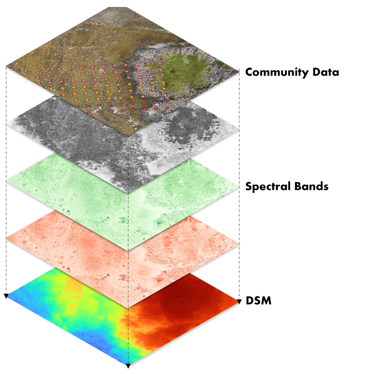BEF-Scale tweet media