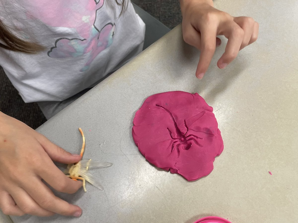cstepnoski14's tweet photo. Future paleontologists at work. https://t.co/RipLg5GnCj