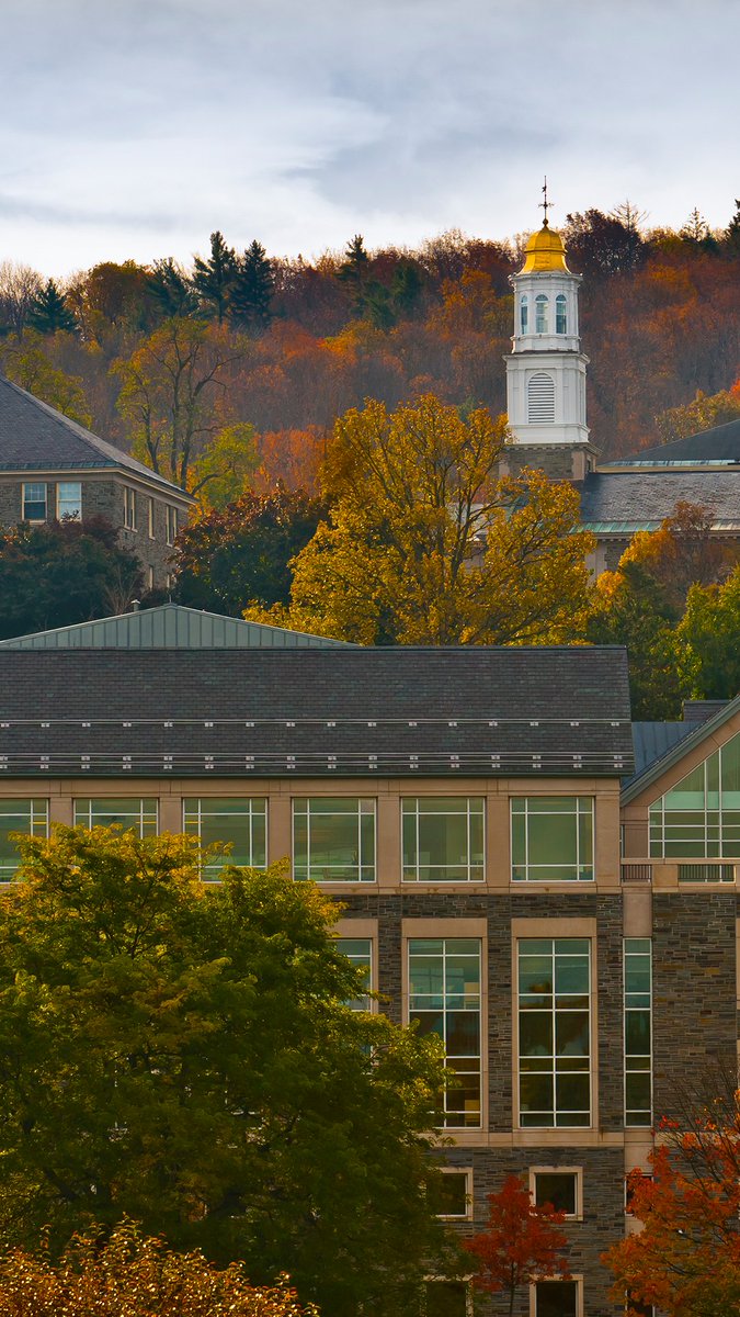 Need an upgrade to your lock screen? 

We’ve got you covered 🍂📲