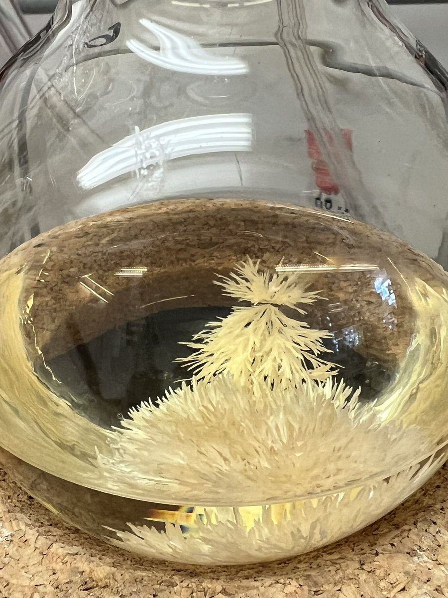 Nothing gets me excited for a day of chemistry better than a flask full of beautiful crystals! #RealTimeChem