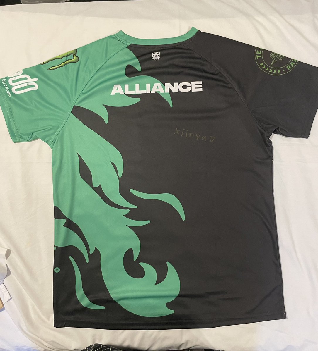 GamingNoodleMM's tweet photo. Gaming Noodle at @theAllianceGG Meet &amp; Greet #TI11 #Singapore #Alliance https://t.co/ojwN9FlmkG
