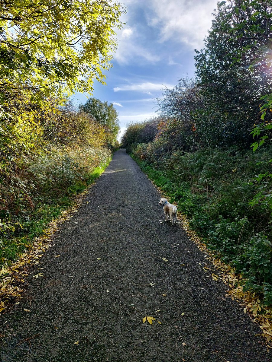 We live in such a beautiful place spoilt by people who fly tip. This is on the moors 
from Birk Brow to Boosbeck. Surely easier to take to the recycling centre!!