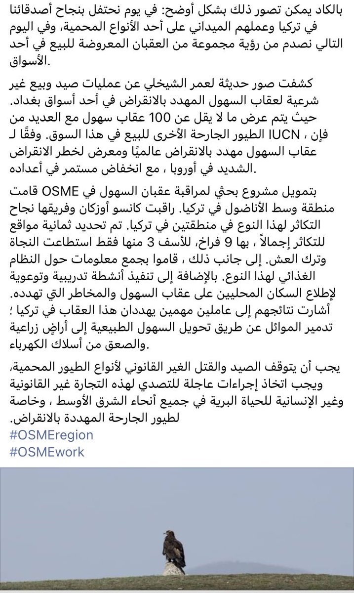 _OSME's tweet photo. Heartbreaking news from #Iraq (via Facebook). Steppe Eagles are magnificent birds and thought to be declining rapidly. Currently listed as globally Endangered. OSME have supported several projects through our Conservation Fund. https://t.co/azOwSUPoWF